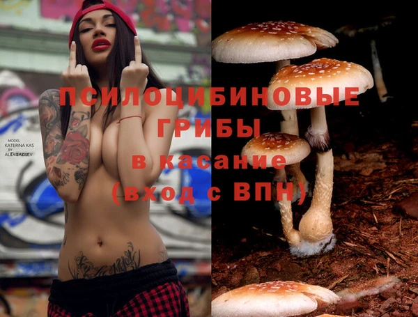 spice Володарск