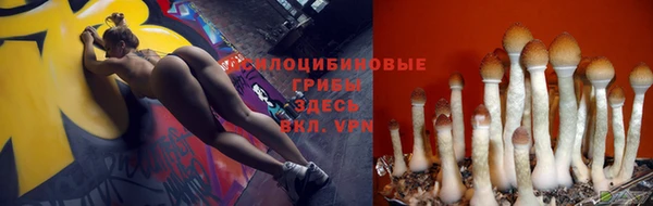 spice Володарск