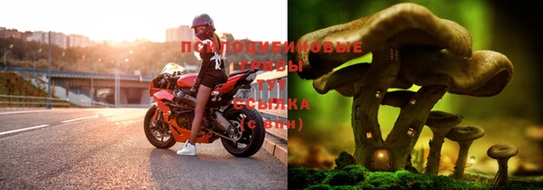 мяу мяу мука Волосово